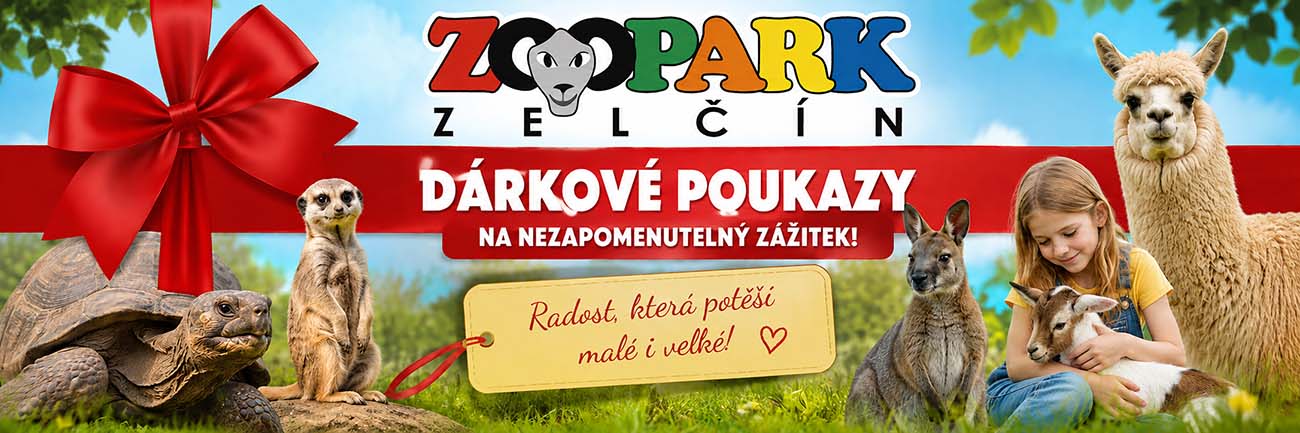 darkove_poukazy