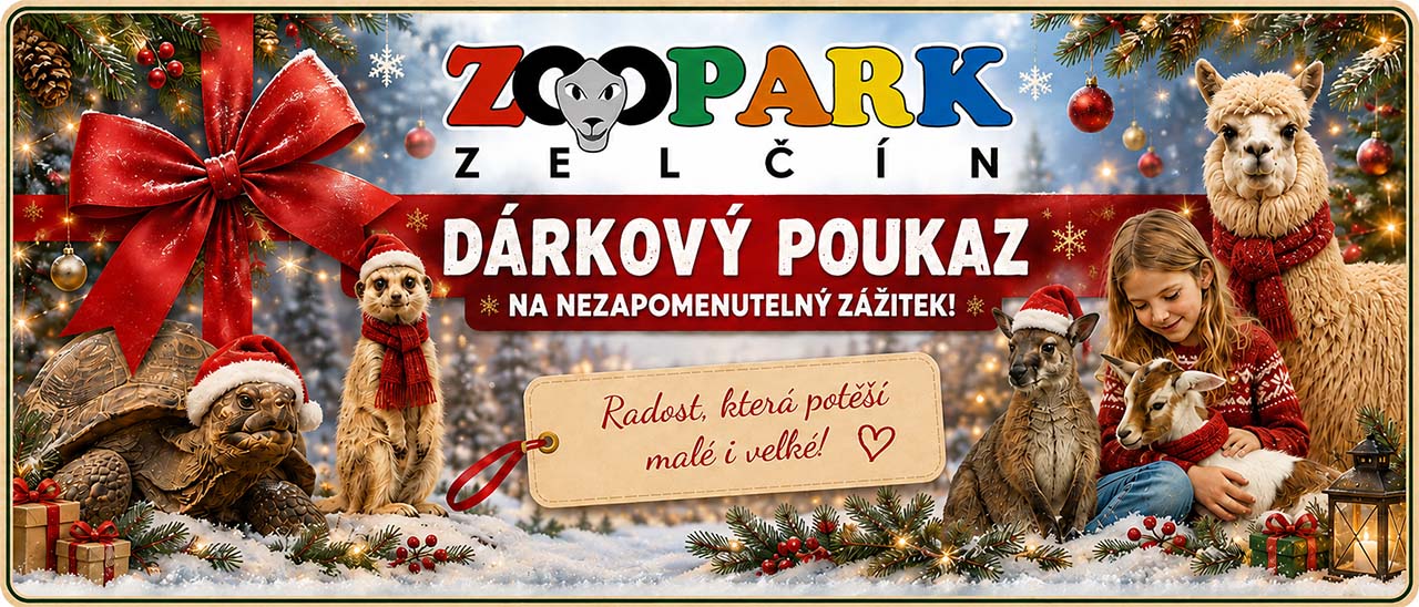 vanocni_darkove_poukazy